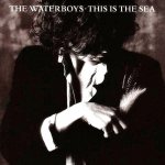 The Waterboys - This Is The Sea.jpg