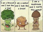 Mushroom.jpg