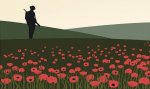 soldier_and_field_of_poppies.jpg