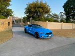 GT Mustang 1.jpg