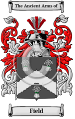 family-crest-coat-of-arms.png