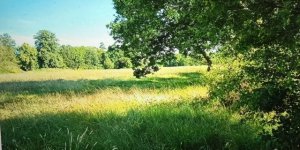 IMG_7833.jpeg